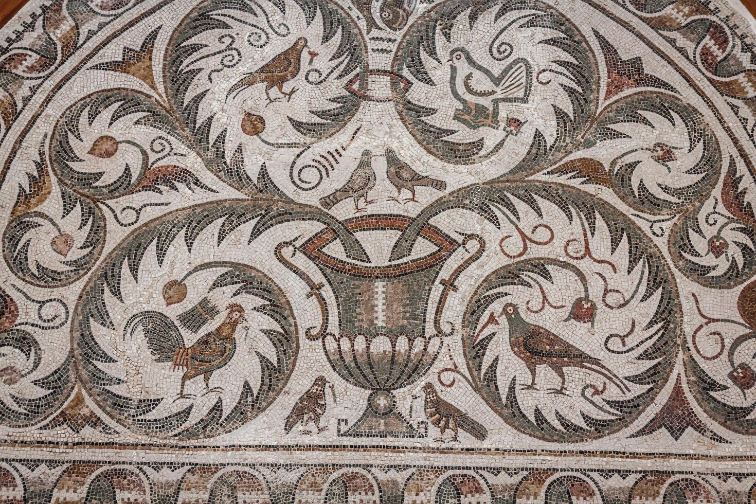 Tunisia traditional arabic decorative photo