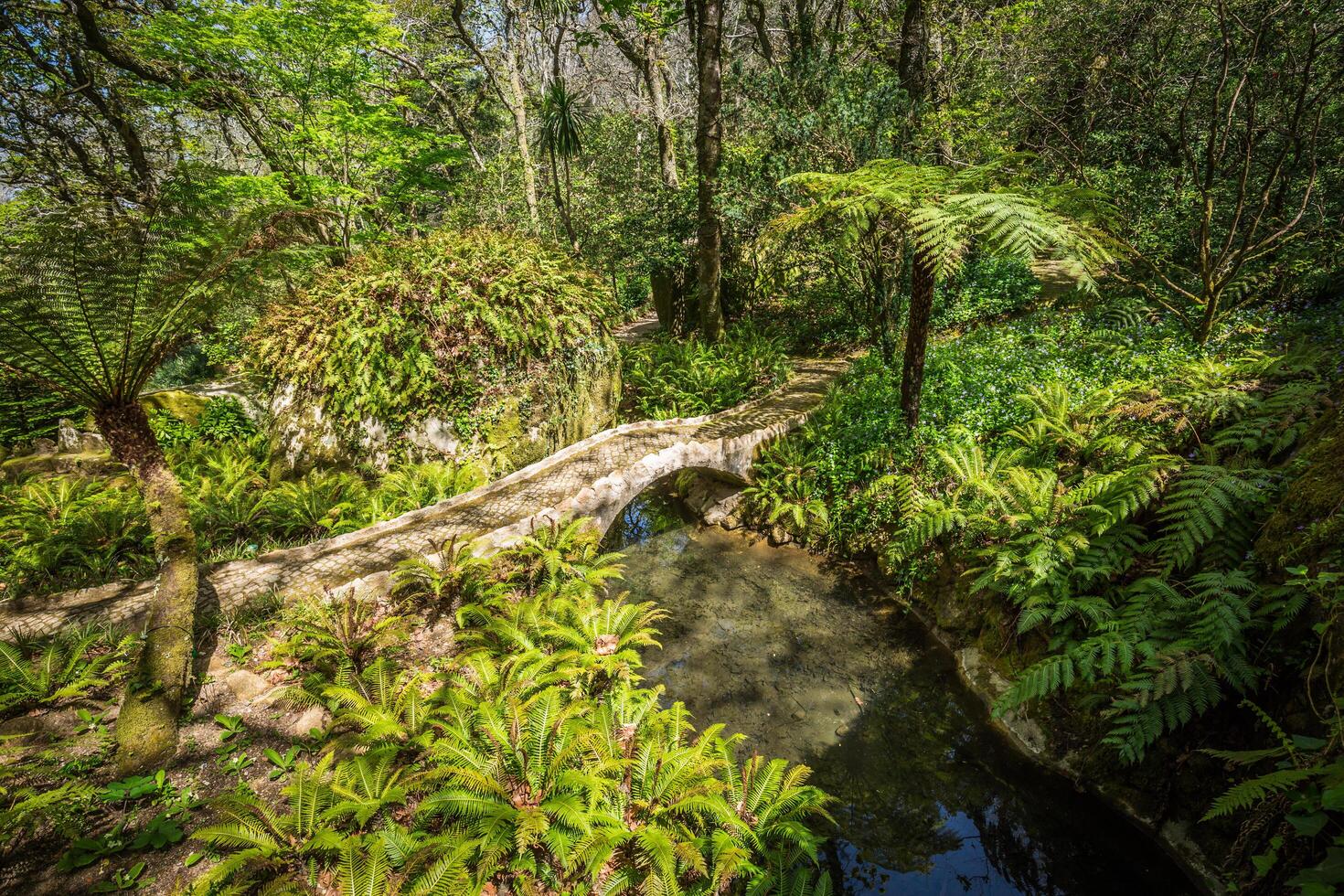 Portugal, jardín de monserrate palacio en sintra foto