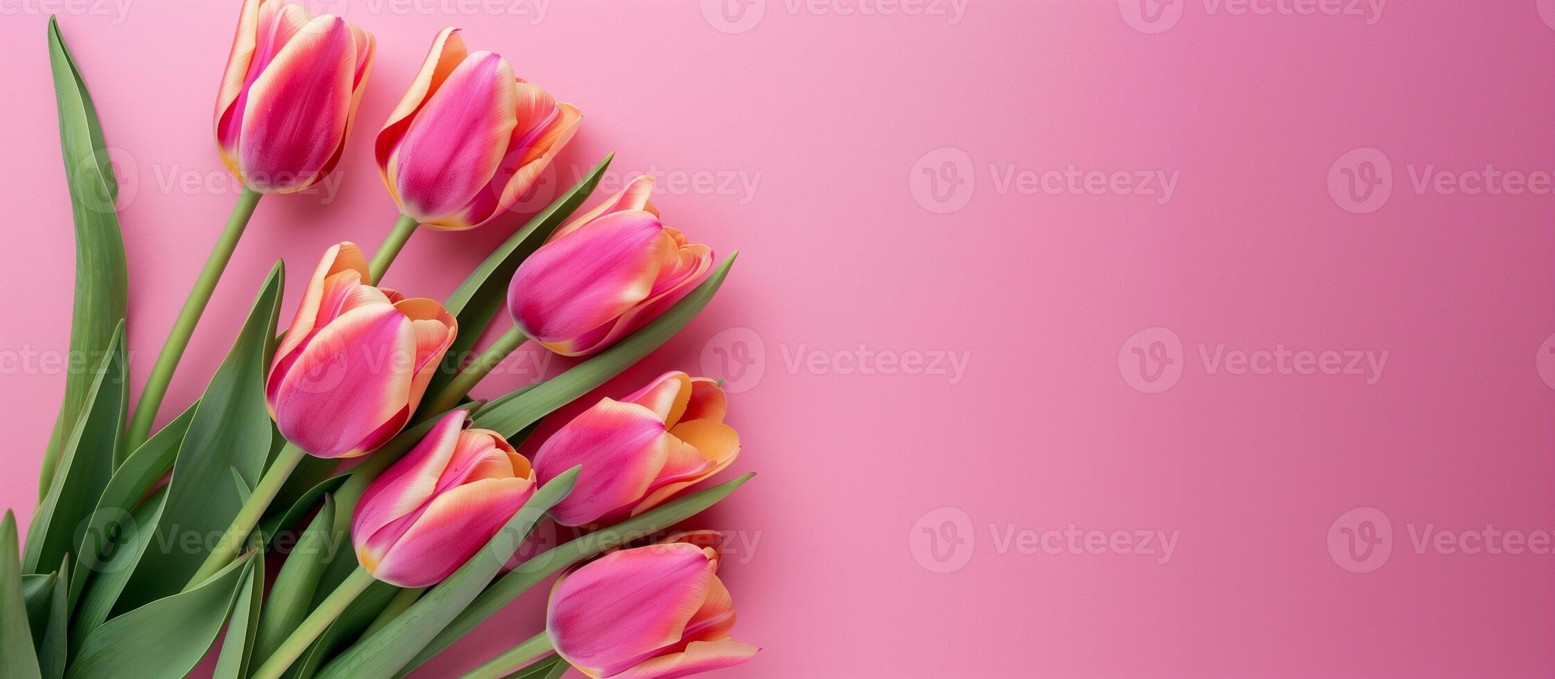 AI generated spring tulip flowers on pink background, copy space photo