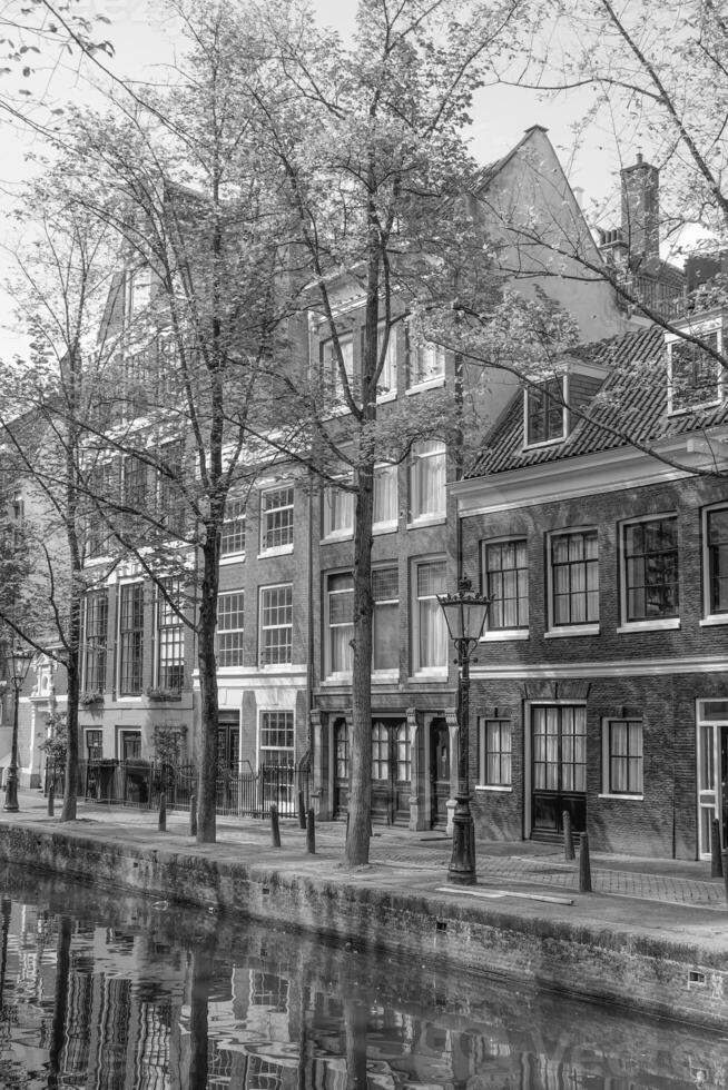 amsterdam in holland photo