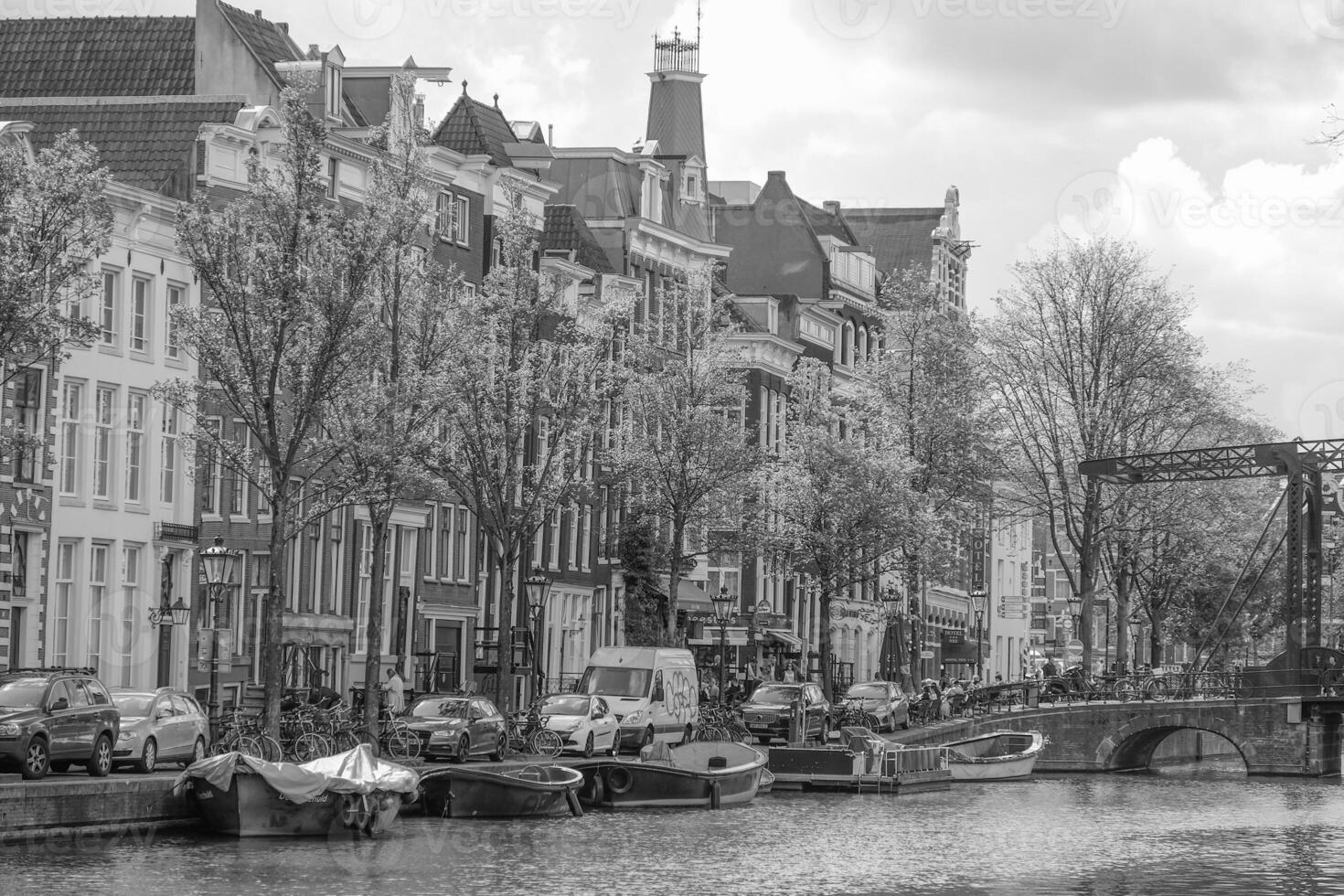 in the netherlands photo