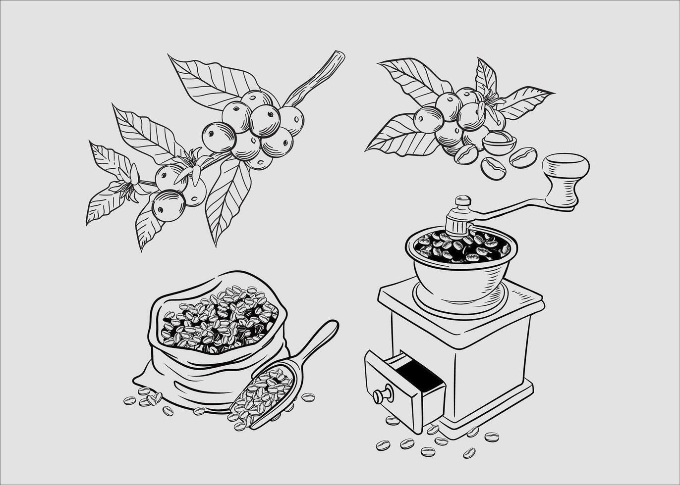 Set Coffee Beans and coffee Grinder outline illustrations collection vector