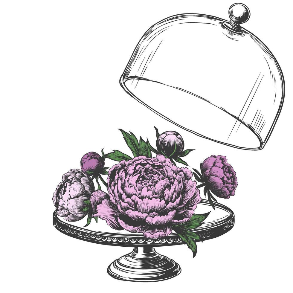 vector floral sketch with peonies and leaves, flower buds on the platter. Linear vintage graphic. hand drawn ink imitation of engraving. Bloomin wildflowers under glass lid isolated on white.