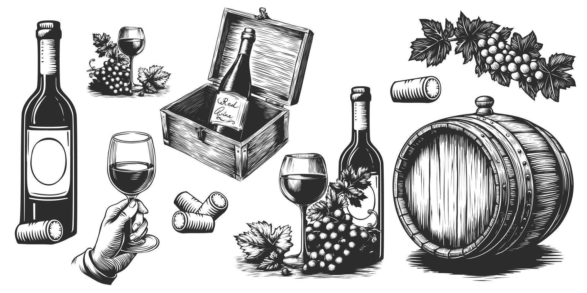 mano dibujado Clásico conjunto con botella de vino, uvas, de madera barril, vaso, tapón, caja con rojo vino. vector vino colección aislado en blanco fondo, grabado, lineal gráfico, bosquejo.