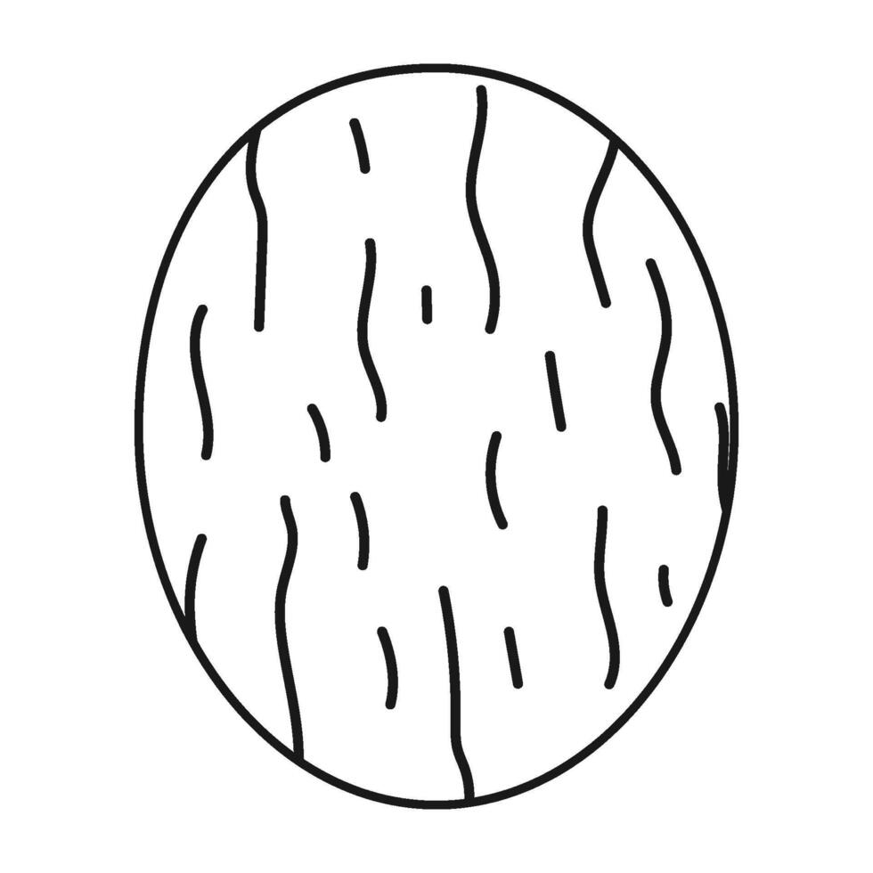 nutmeg icon vector
