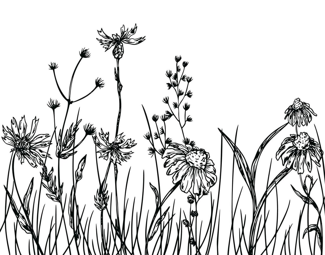 Floral Sketch Hand Drawn Background, Wild Flowers vector
