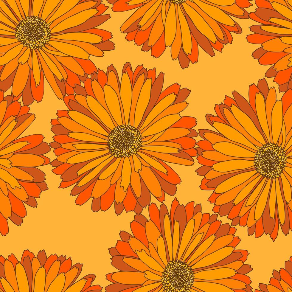 Gerbera Daisy Hand Drawn Seamless Pattern vector