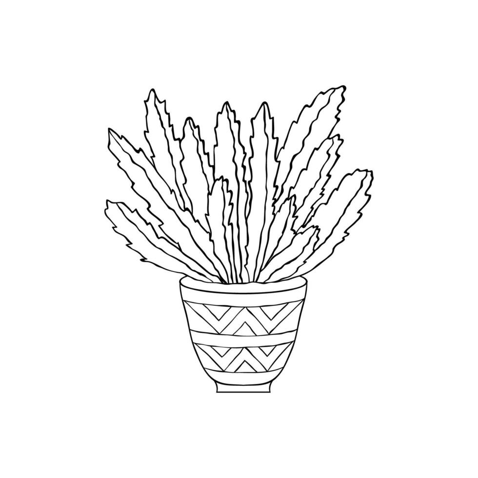 Cactus in doodle style vector