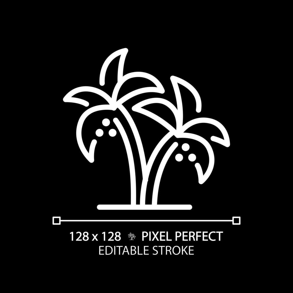 Date Palms in UAE white linear icon for dark theme. Desert tree of life. Dubai agribusiness harvesting. Paradise tropical. Thin line illustration. Isolated symbol for night mode. Editable stroke vector