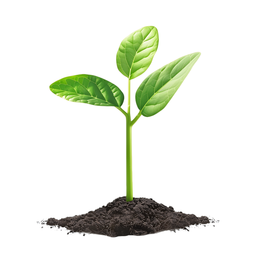 AI generated Young Sprout in Transparent Pile of Soil png