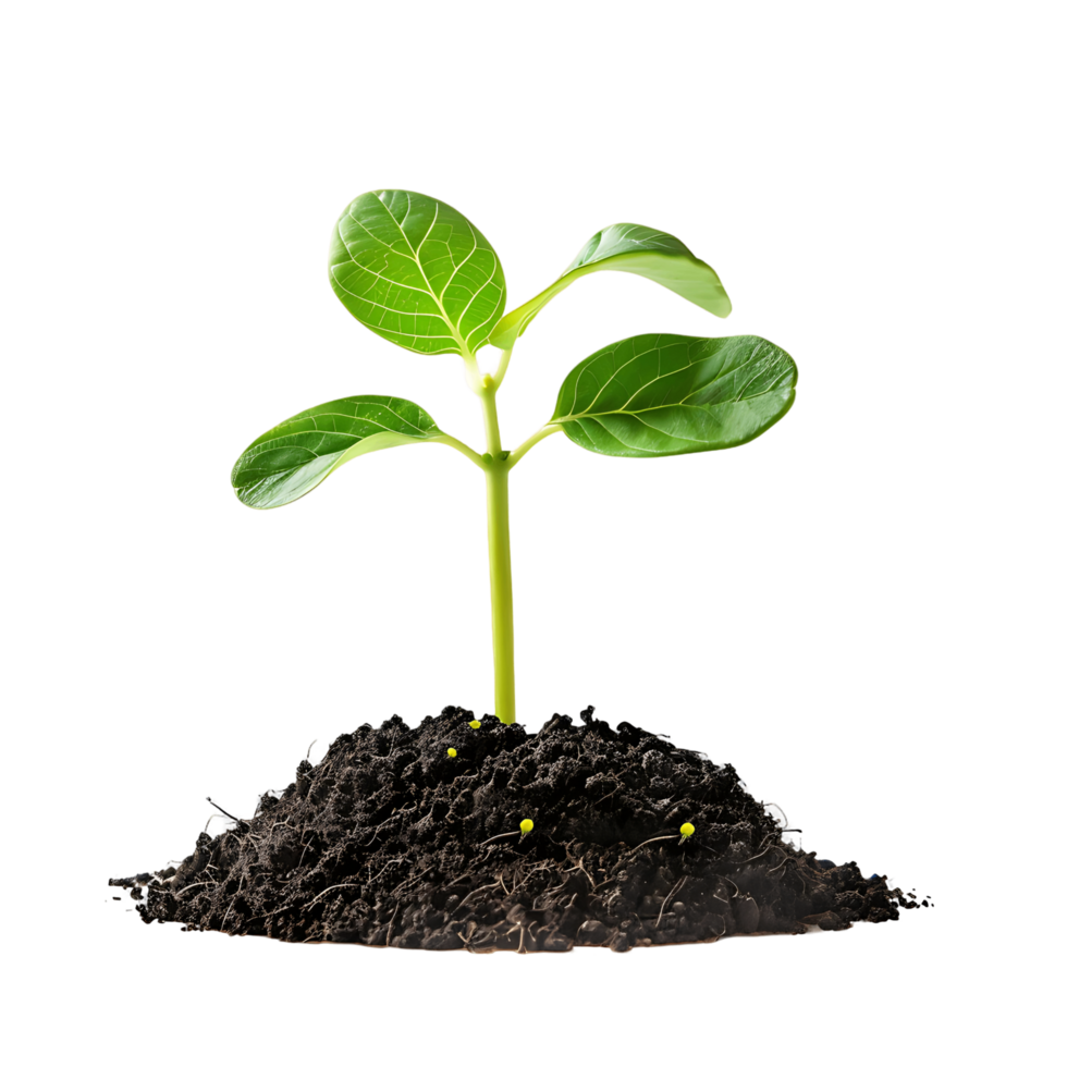 AI generated Clear Sprout in Pile of Soil Set png