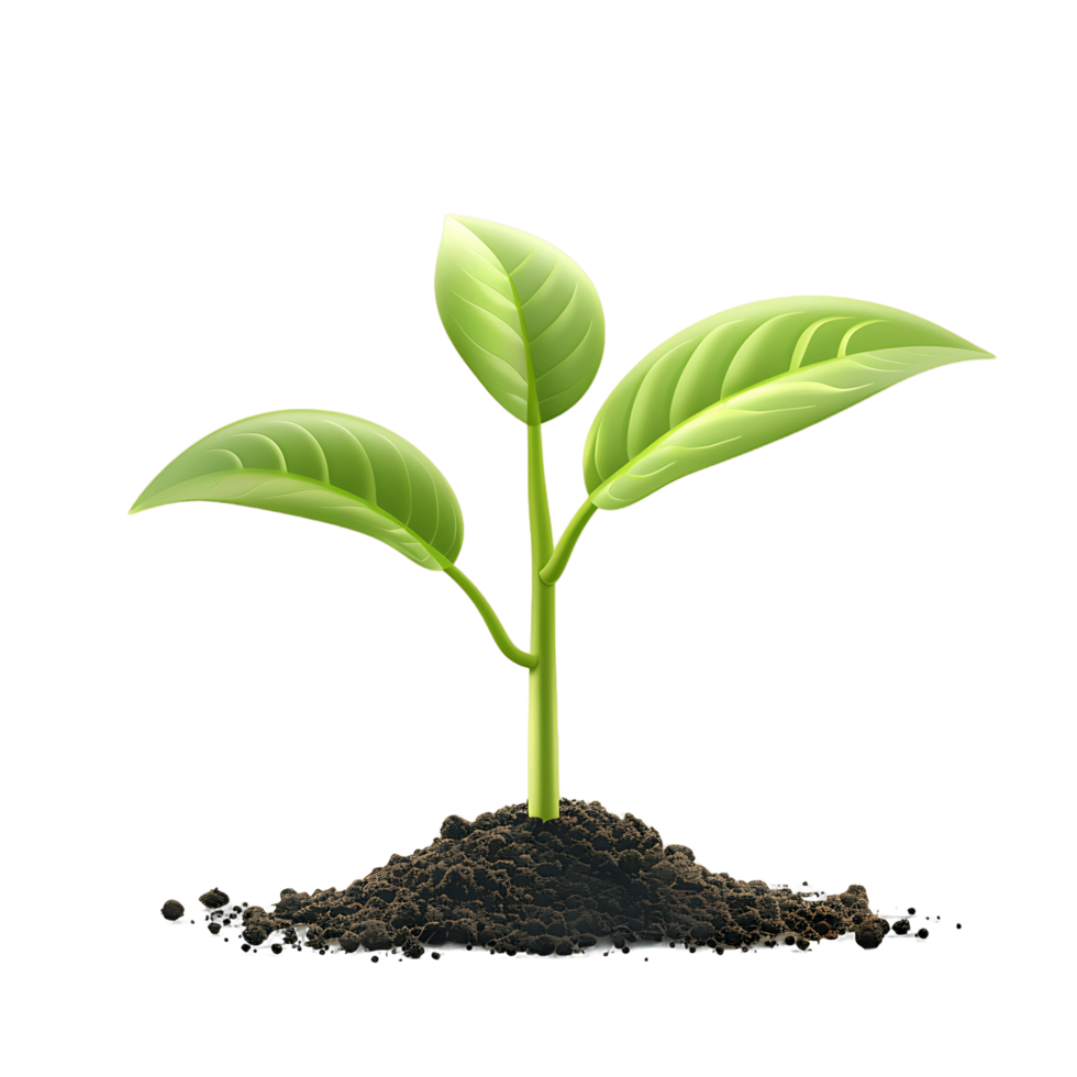 AI generated Transparent Soil with Growing Sprout Graphics png
