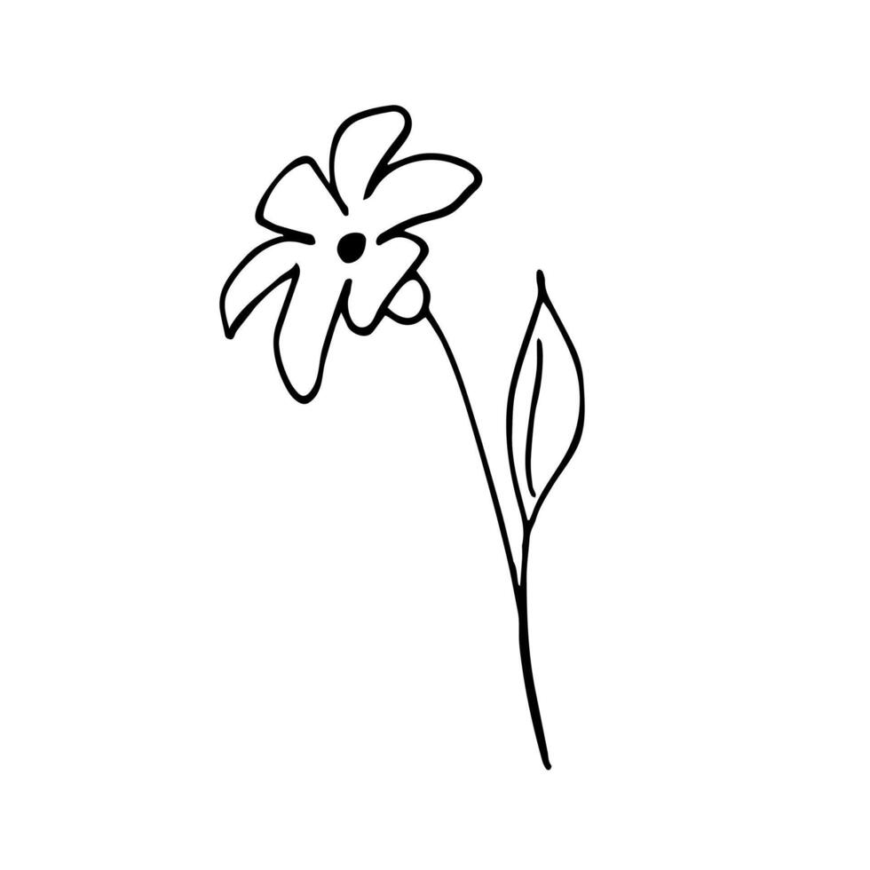 Hand-drawn flower branch herb, minimalist flower with leaves. Botanical greenery vector illustration.