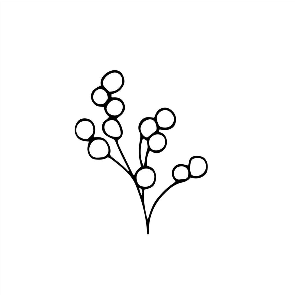Herbal floral doodle-style vector illustration. Hand-drawn botanical illustration. Isolated objects on white