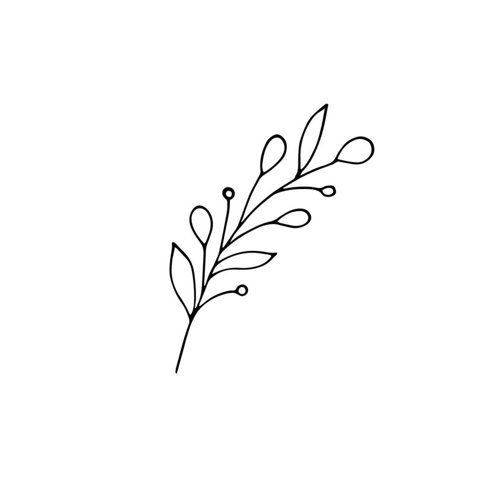 A simple hand-drawn botanical element. Grass twig Doodle-style minimalist branch with leaves. vector