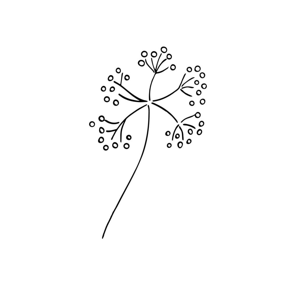 Botanical element for design, postcard, print, decor, and sticker. Doodle-style vector illustration.