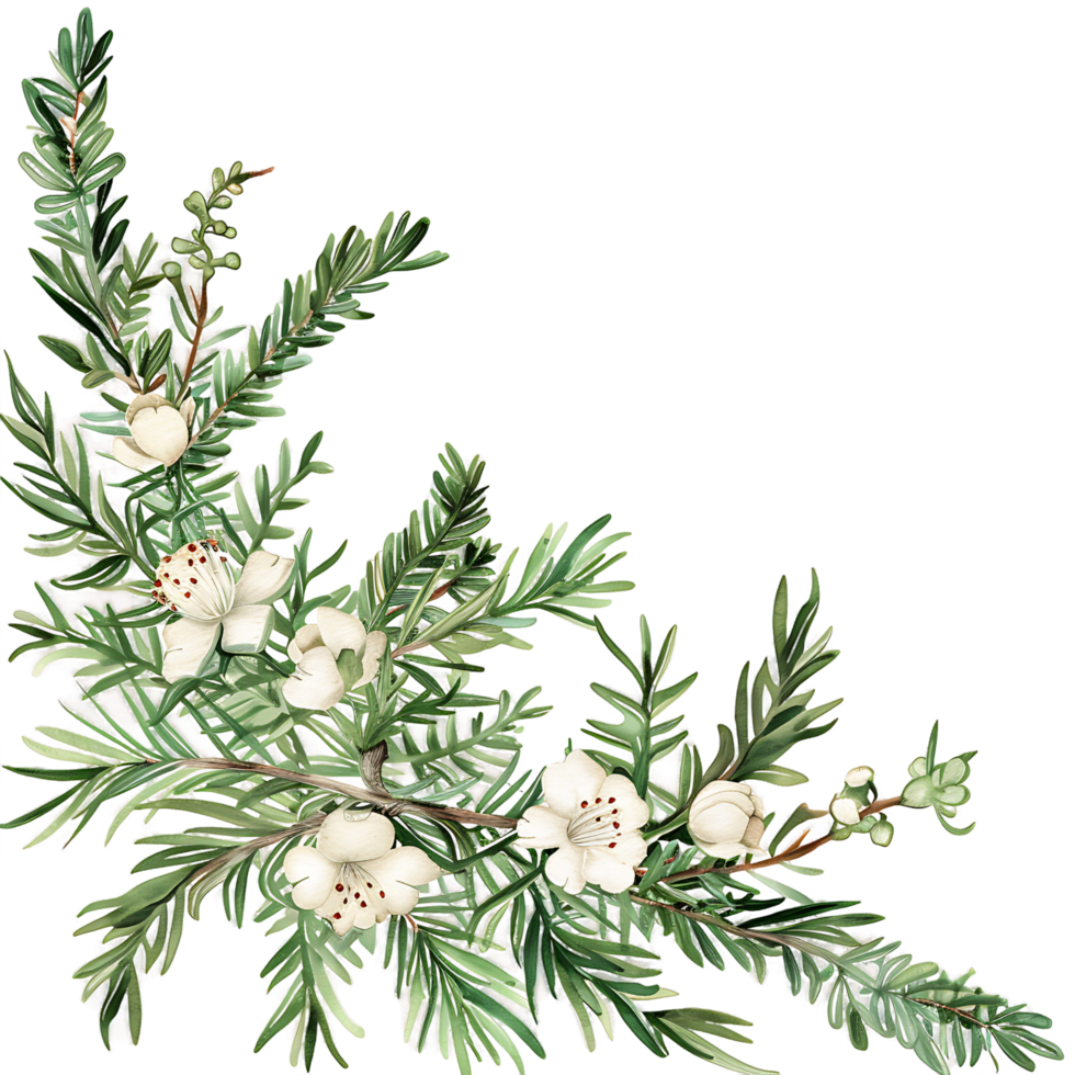 AI generated Radiant Watercolor Juniper Twig Clipart png