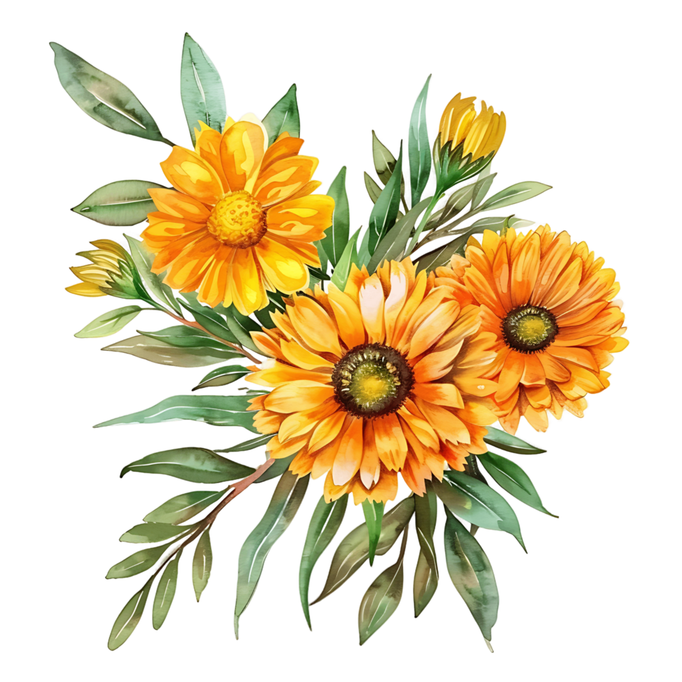 AI generated Subtle Watercolor Calendula Flower Clipart Design png