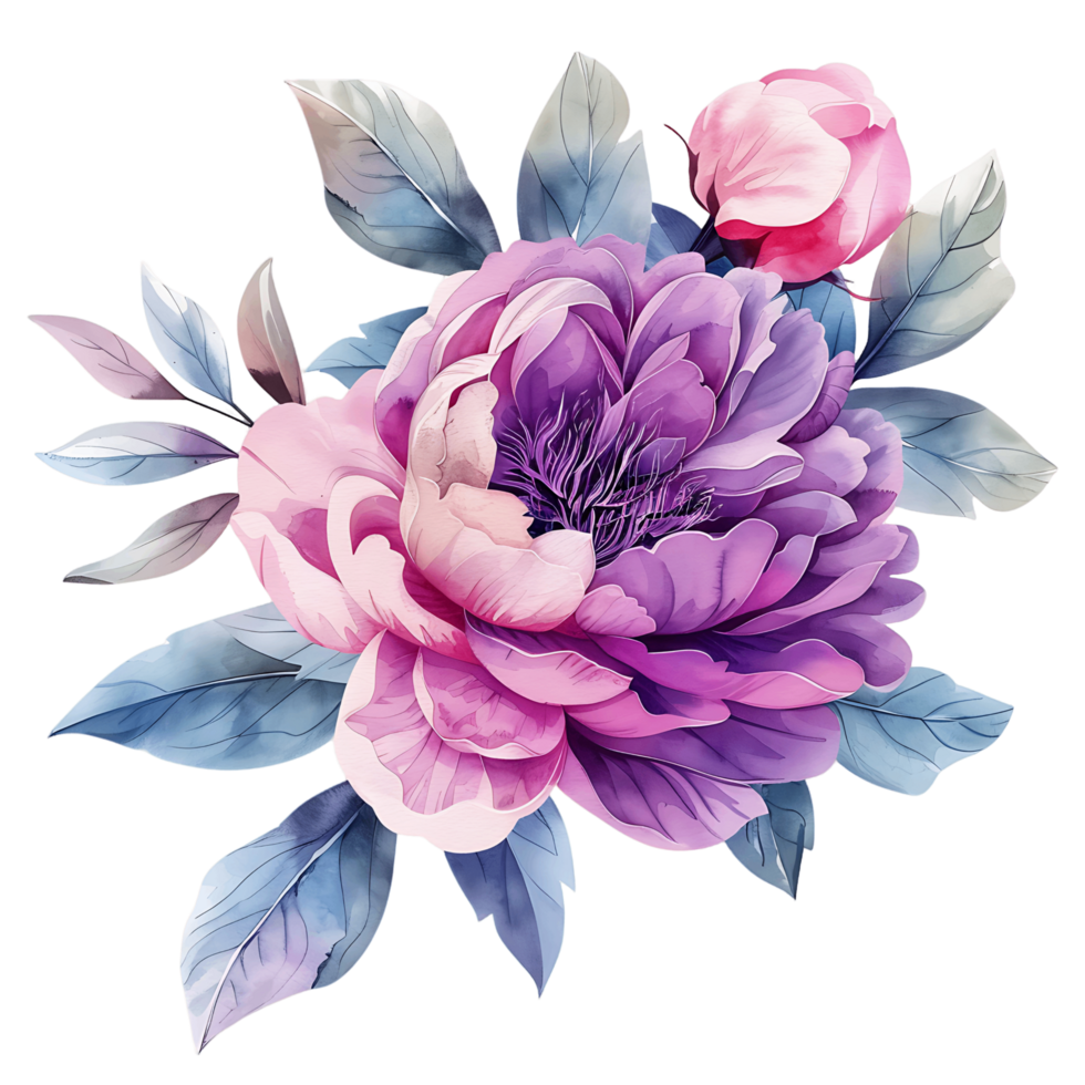 AI generated Ethereal Watercolor Magenta Peony Flower Clipart png