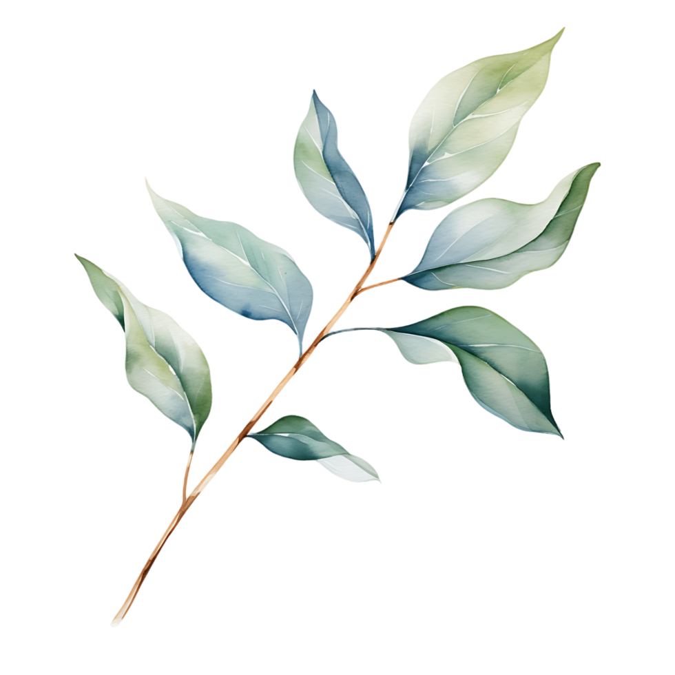 AI generated Whispering Eucalyptus in Watercolor on Clear Canvas png