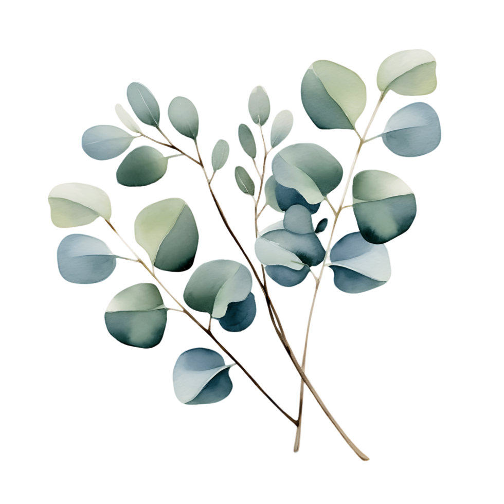 AI generated Pastel Eucalyptus in Watercolor on Transparent Canvas png