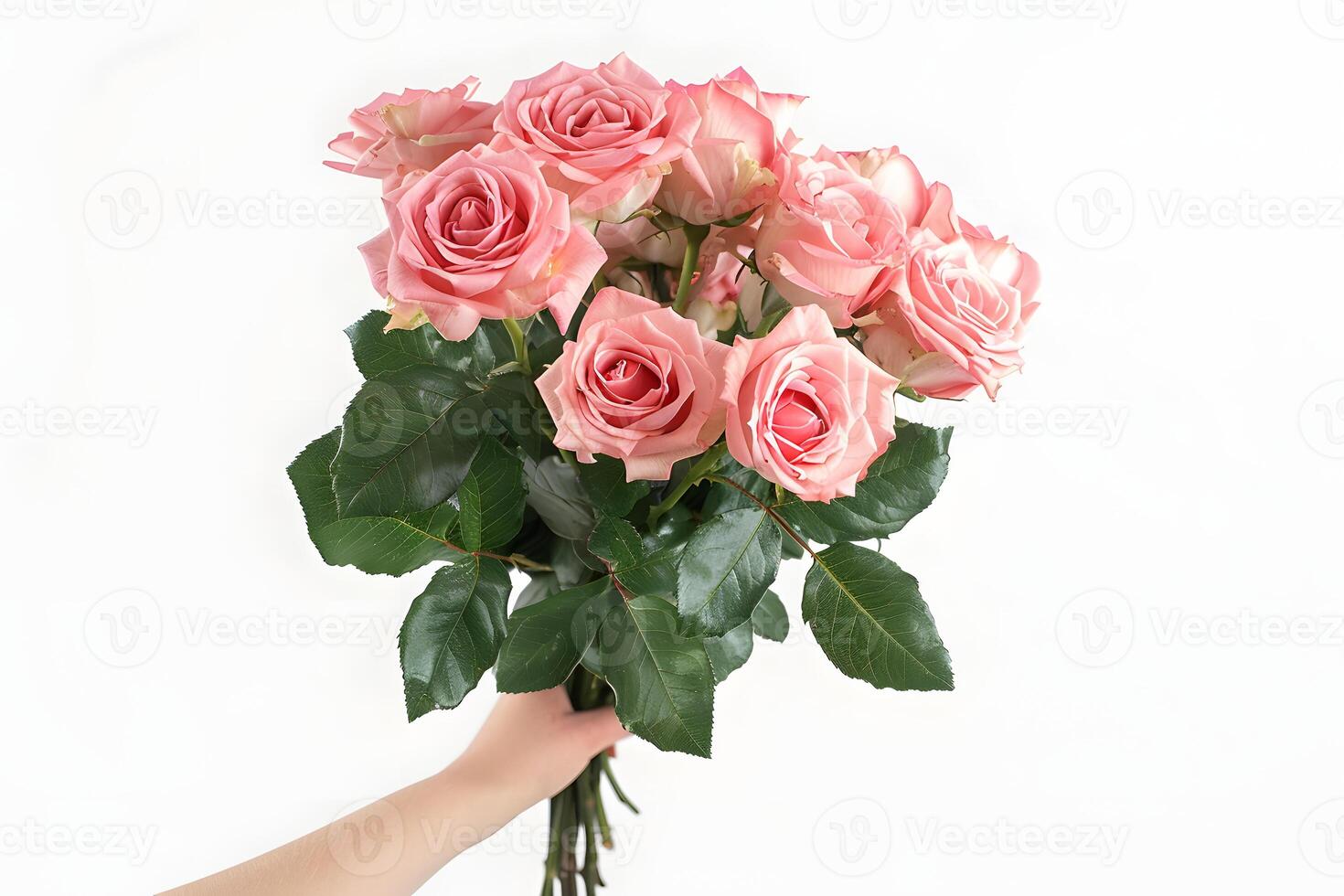 a bouquet of full of red roses and leaves, isolated on white photo