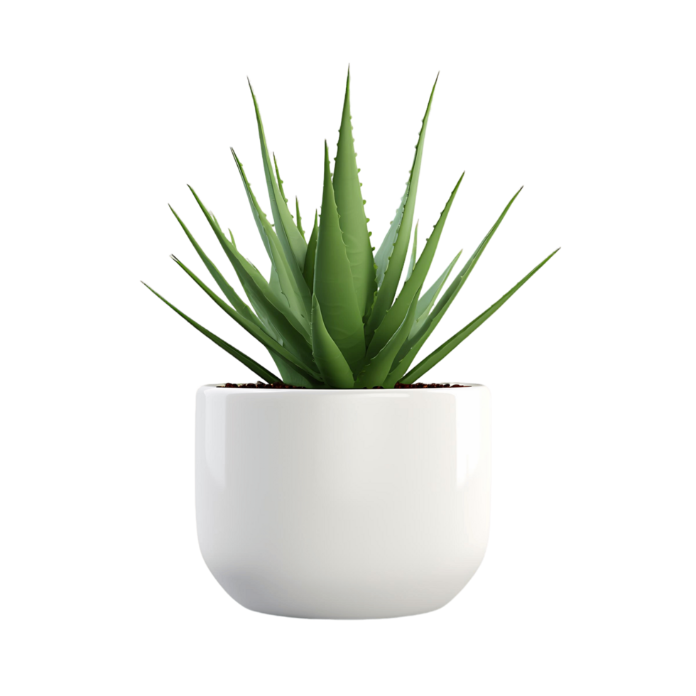 ai generato isolato aloe Vera pianta per naturale benessere grafica png