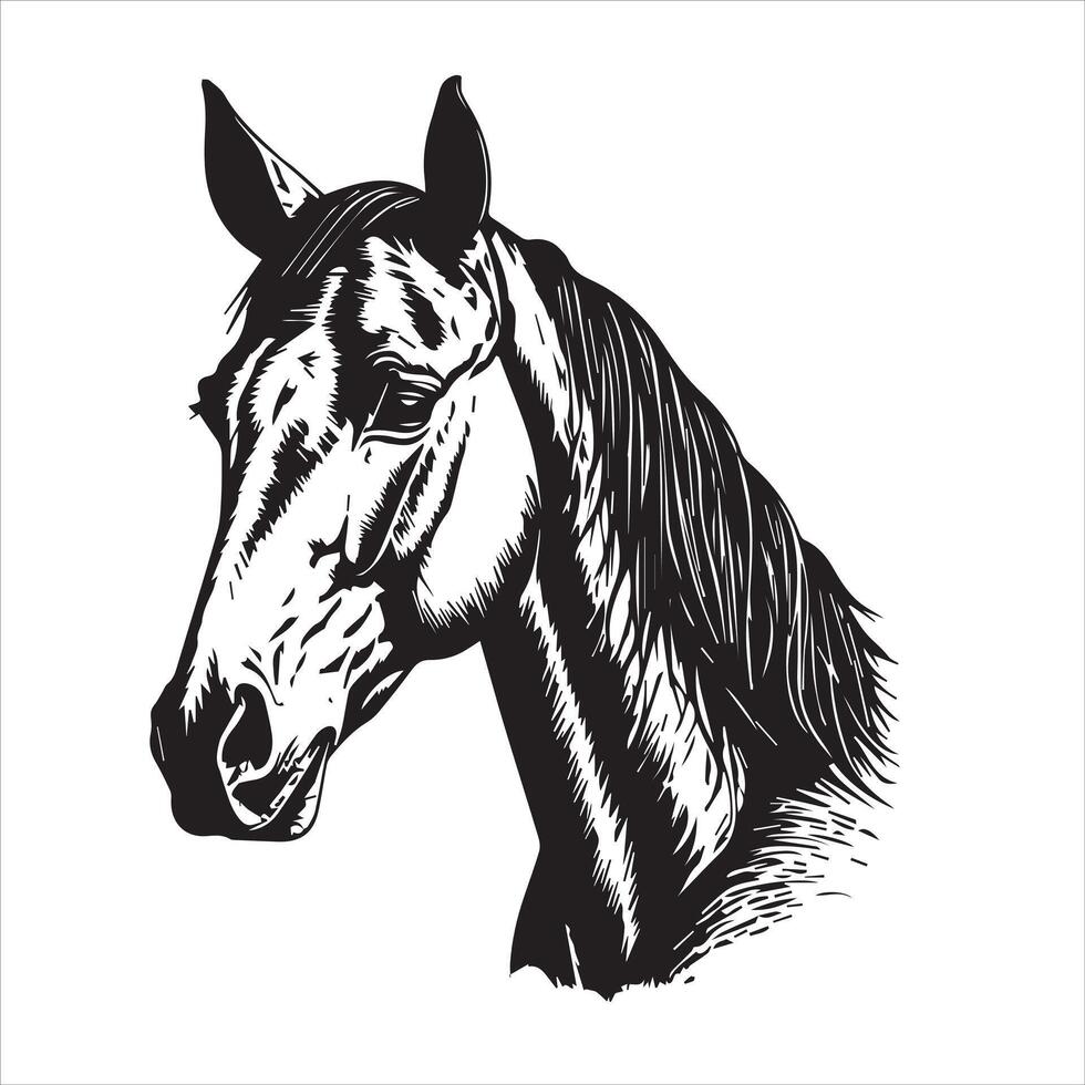 Horse silhouette animal logo black horses graphic vector illustration