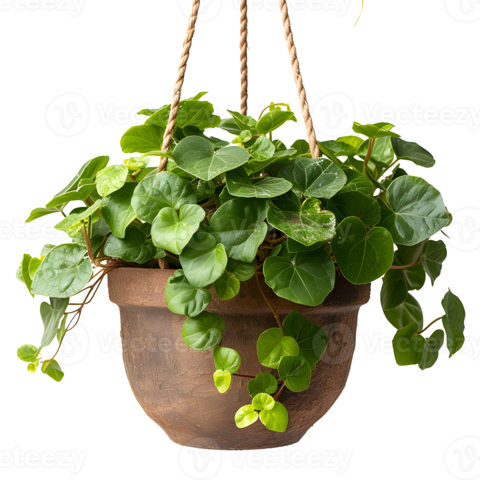 AI generated Terracotta Pot Hanging Garden Greenery png