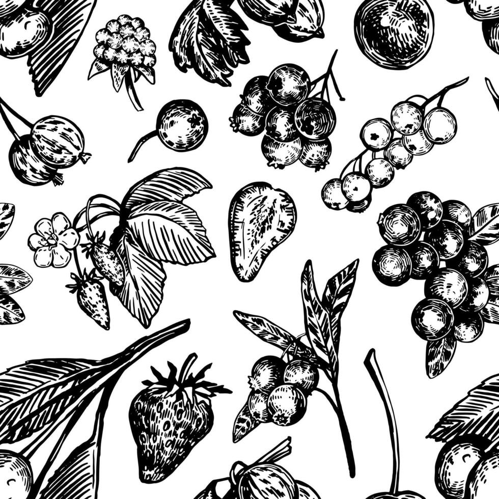 Seamless pattern of berries. Summer fruit berry ornament. Hand drawn vector illustration. Abstract design.