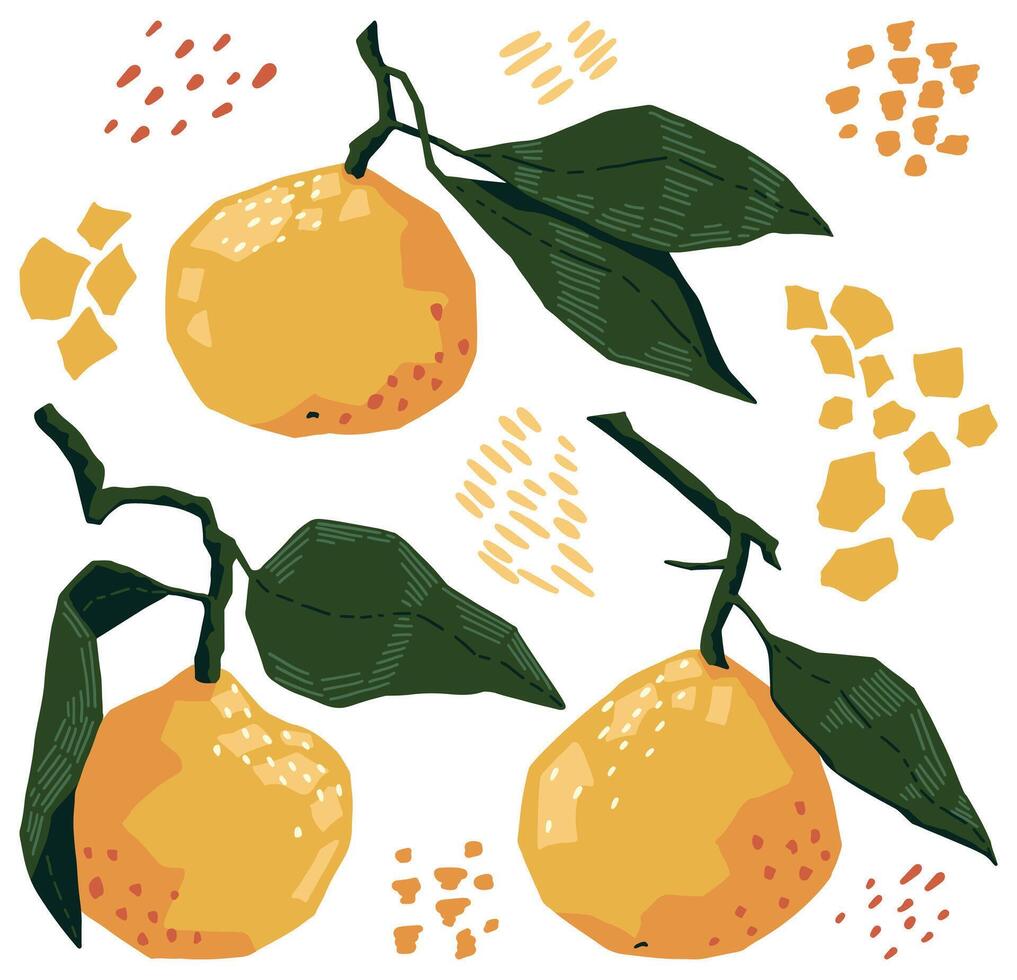 conjunto de mandarinas en moderno geométrico estilo. vector ilustración de agrios frutas con hojas. brillante de colores acortar letras aislado en blanco. elementos para contemporáneo diseño.