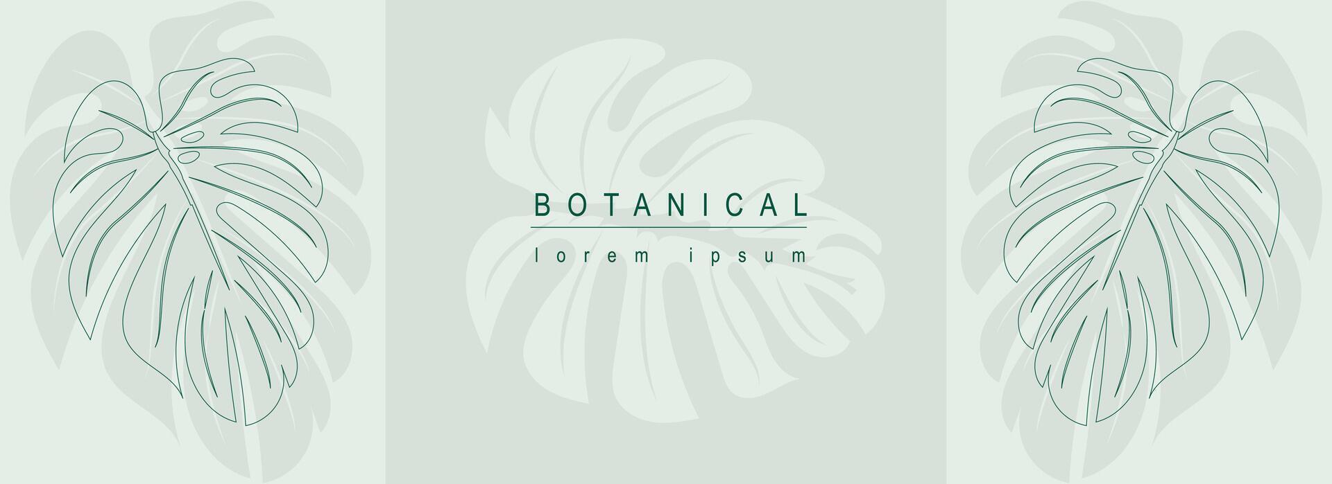 Botanical abstract background with floral line art design. Horizontal web banner in minimal style with green monstera leaves, silhouettes and contour shapes of tropical foliage. Vector illustration.