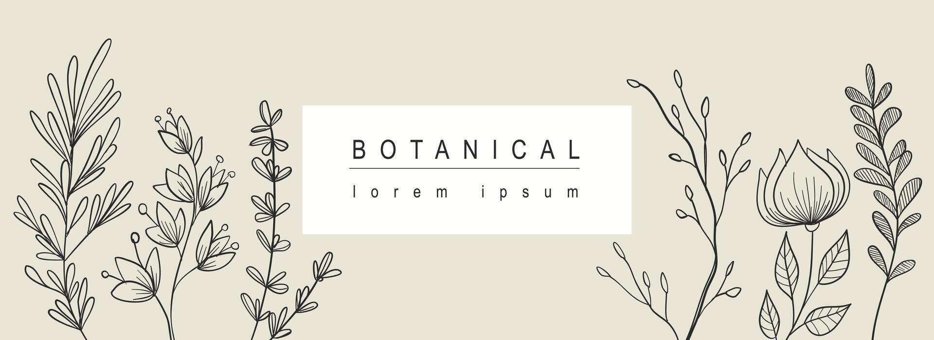 Botanical abstract background with floral line art design. Horizontal web banner with minimal elegant composition of blooming flowers, foliage greenery and twigs with leaves. Vector illustration.