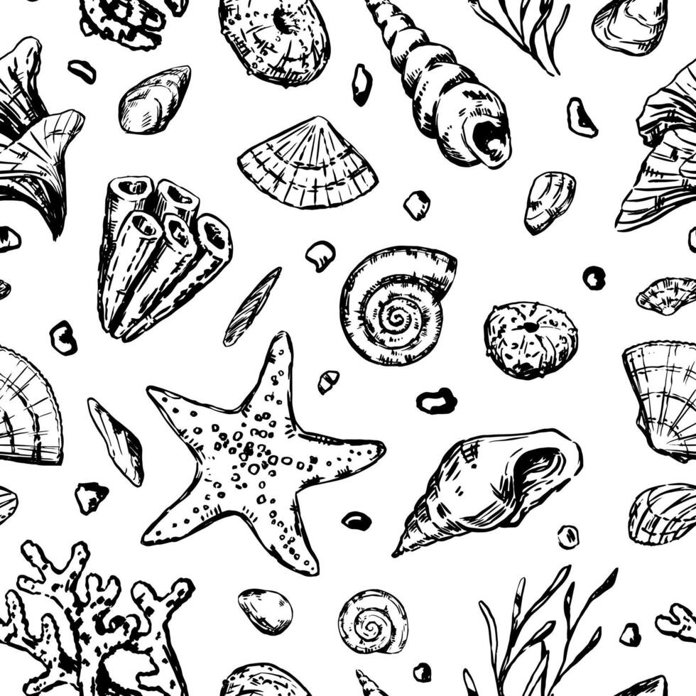 Abstract sea ornament. Sketches of starfishes, shells, stones, seaweed, coral. Vector seamless pattern of underwater life. Retro outline style design.