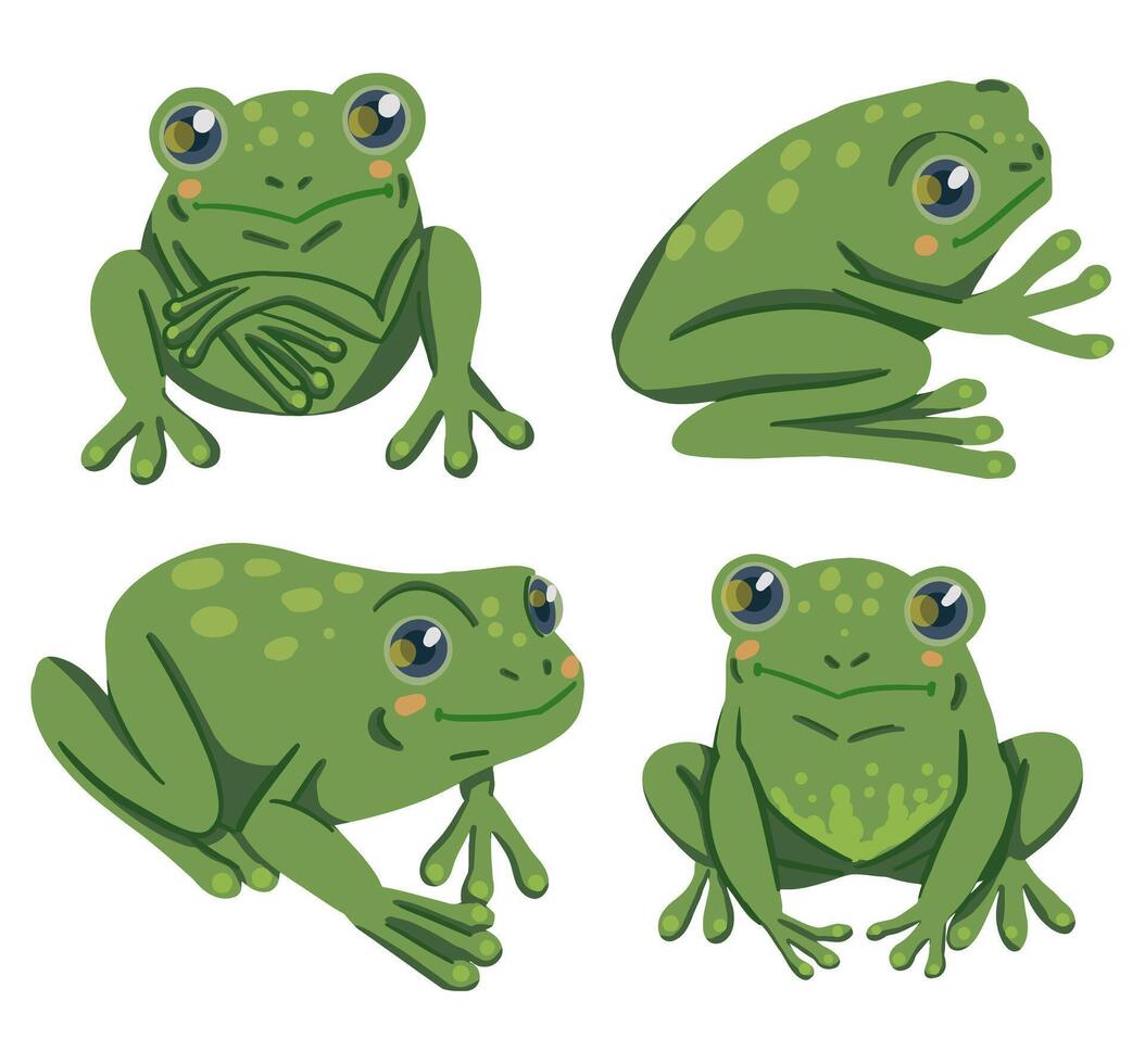 ranas mano dibujado vector ilustraciones. vistoso colección en escandinavo estilo. resumen dibujos animados reptil animales clipart aislado en blanco antecedentes.