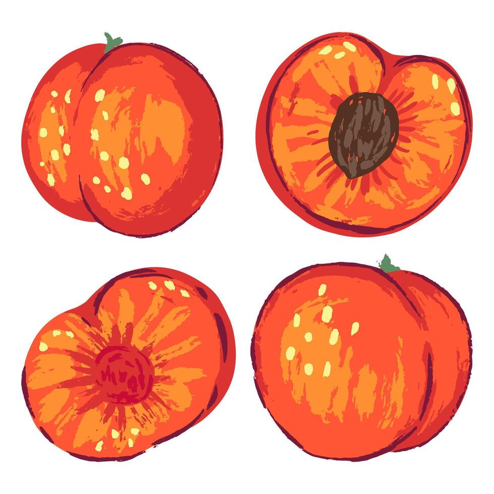 conjunto de duraznos en moderno estilo. vector ilustración de Fresco sabroso frutas brillante clipart aislado en blanco. elementos para contemporáneo diseño, decoración, huellas dactilares.