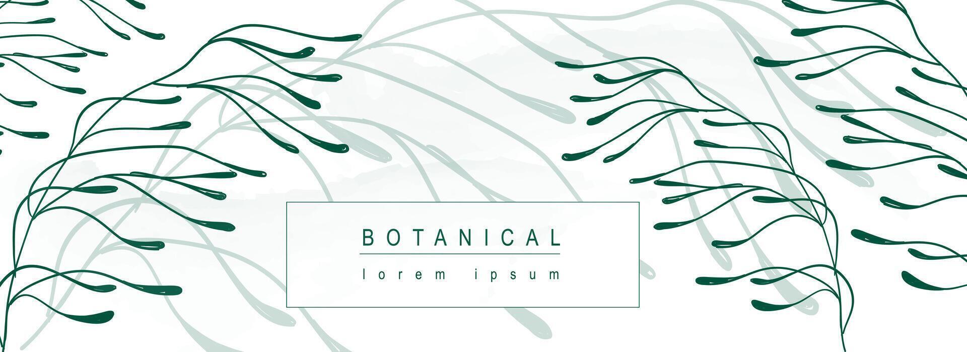 Botanical abstract background with floral line art design. Horizontal web banner in minimal style with green leaves ornament, greenery twigs with silhouette shadow on backdrop. Vector illustration.