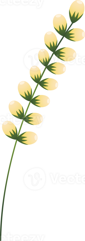 floral elements. Flower and green leaves. Wedding concept png