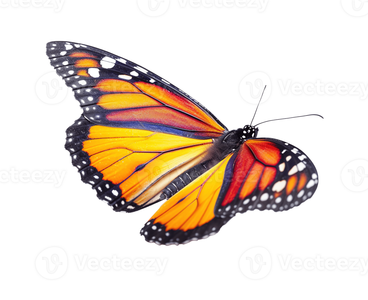 AI generated Tropical orange, red, white and black butterfly PNG cutout isolated on transparent background, graphic resource