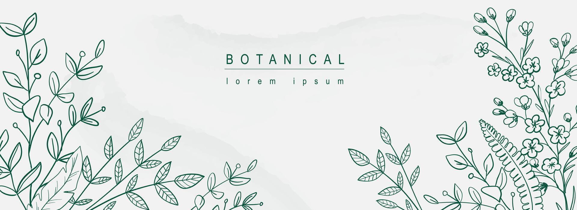 Botanical abstract background with floral line art design. Horizontal web banner in minimal style with hand drawn leaves, plants, blooming flowers, different twigs and branches. Vector illustration.