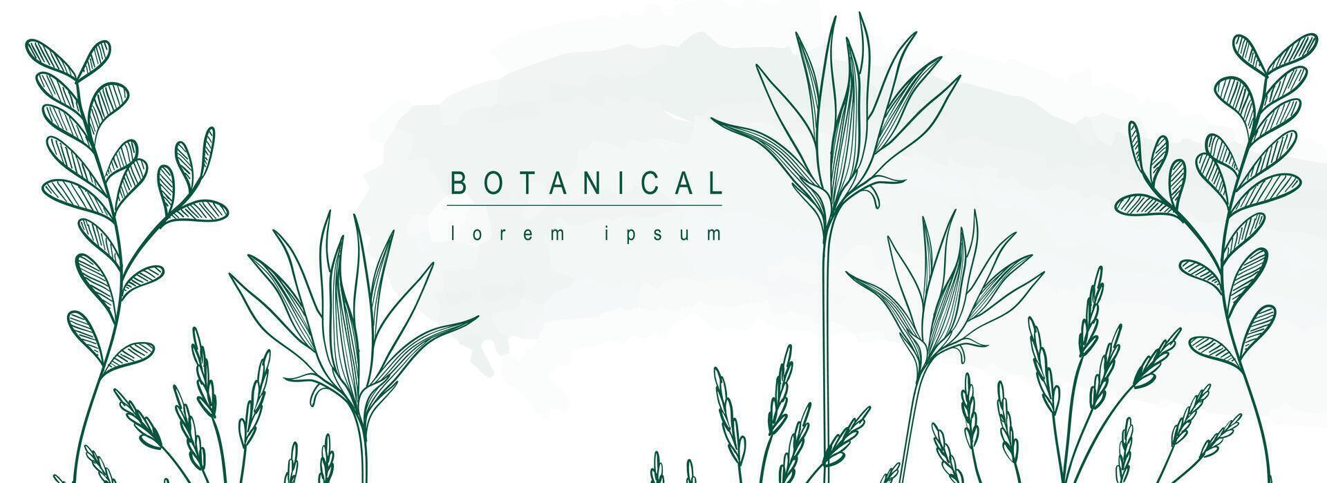 botánico resumen antecedentes con floral línea Arte diseño. horizontal web bandera en mínimo estilo con floreciente flores contorno, prado hierbas, hojas y verde leña menuda borde. vector ilustración.