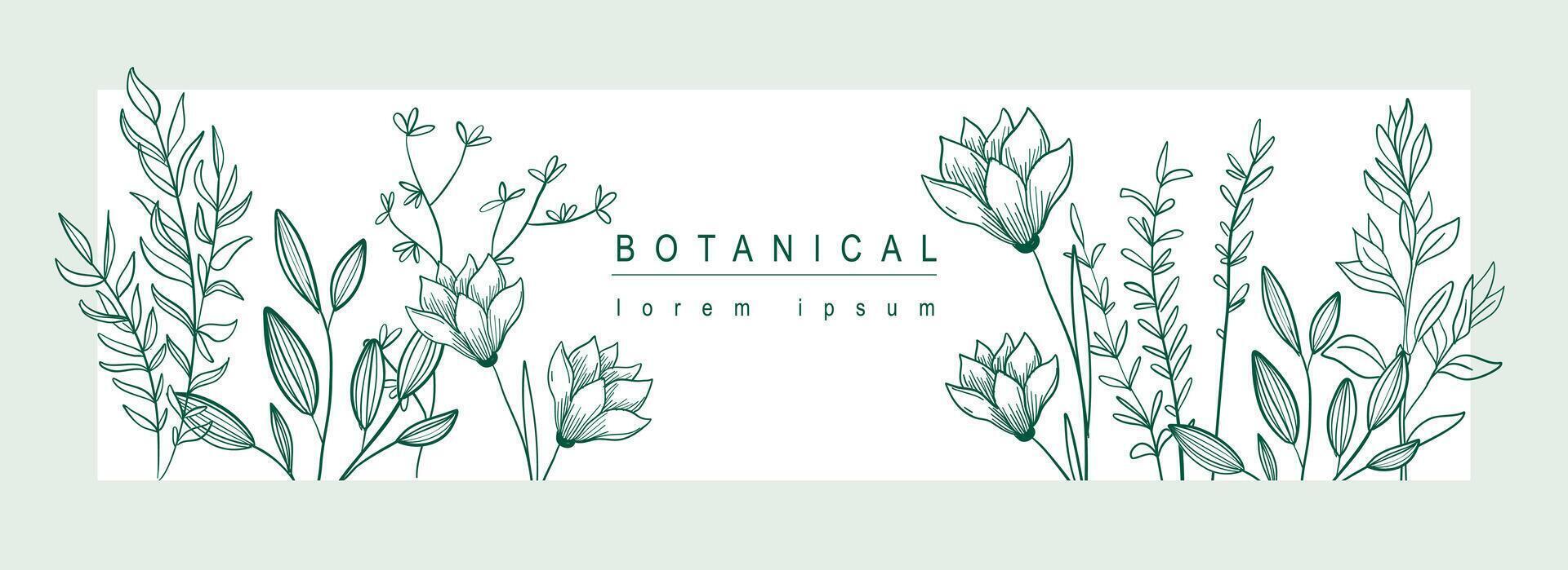 botánico resumen antecedentes con floral línea Arte diseño. horizontal web bandera en mínimo estilo con floreciente magnolia flores y lirio brotes, hierbas y hojas en marco modelo. vector ilustración.