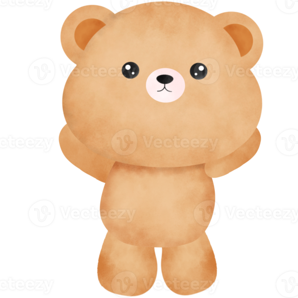 Cute teddy bear. png