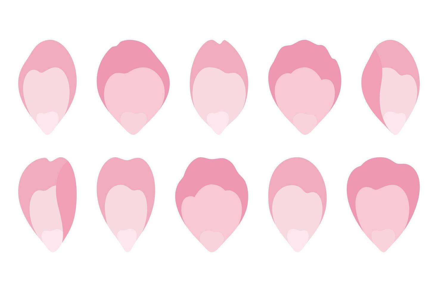 Set of pink rose petals. Vector illustration isolated on white background.
