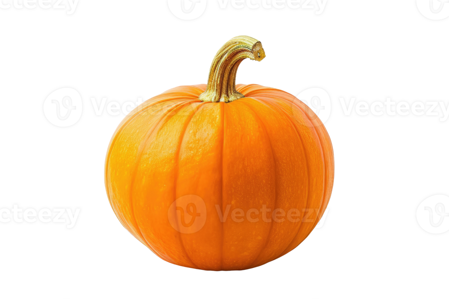 AI generated Pumpkins isolated on transparent background png
