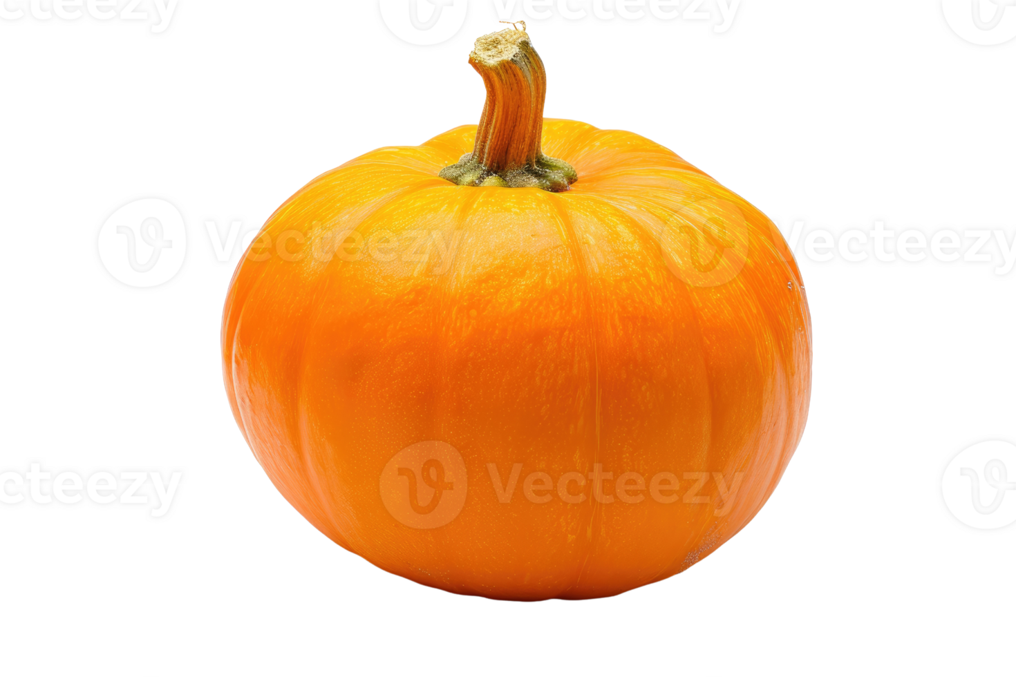 AI generated Pumpkins isolated on transparent background png