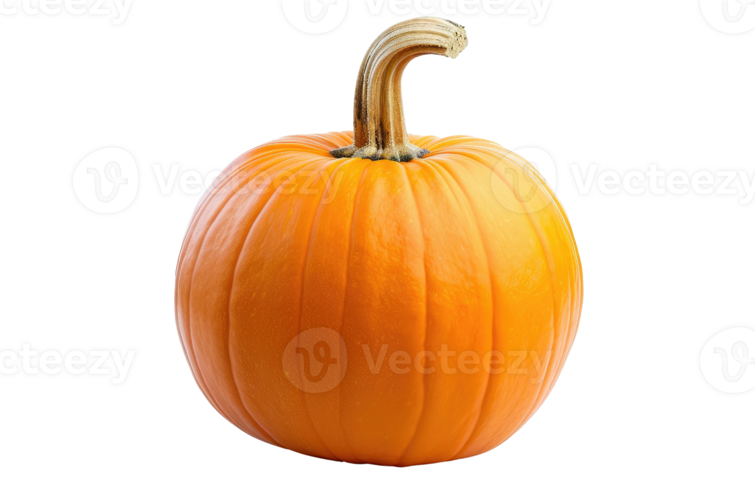 AI generated Pumpkins isolated on transparent background png