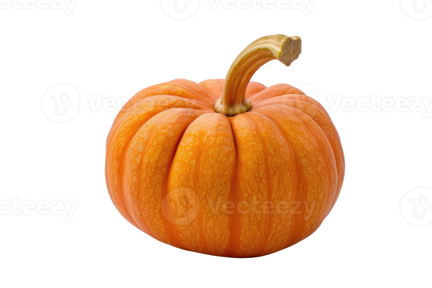 AI generated Pumpkins isolated on transparent background png