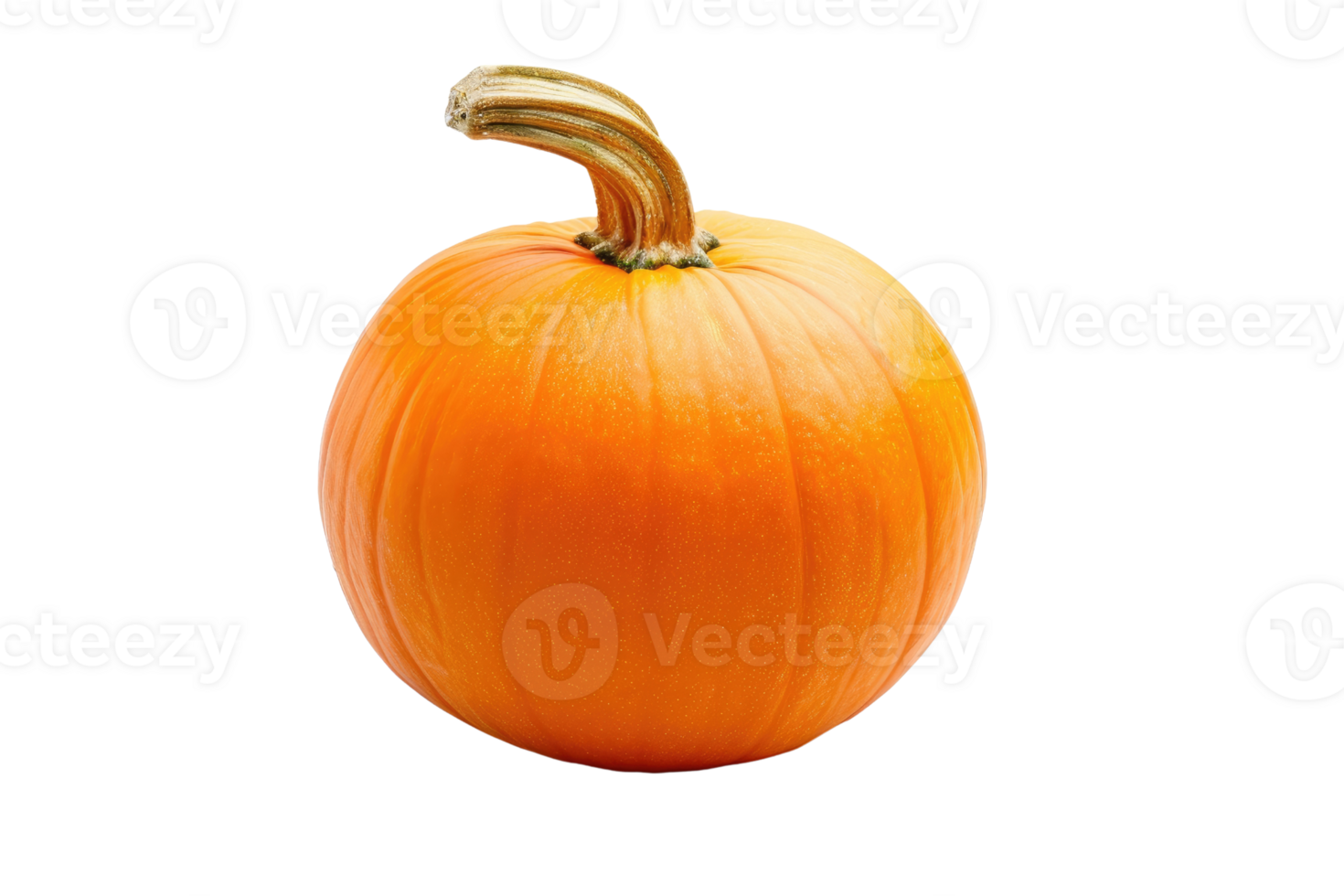 AI generated Pumpkins isolated on transparent background png