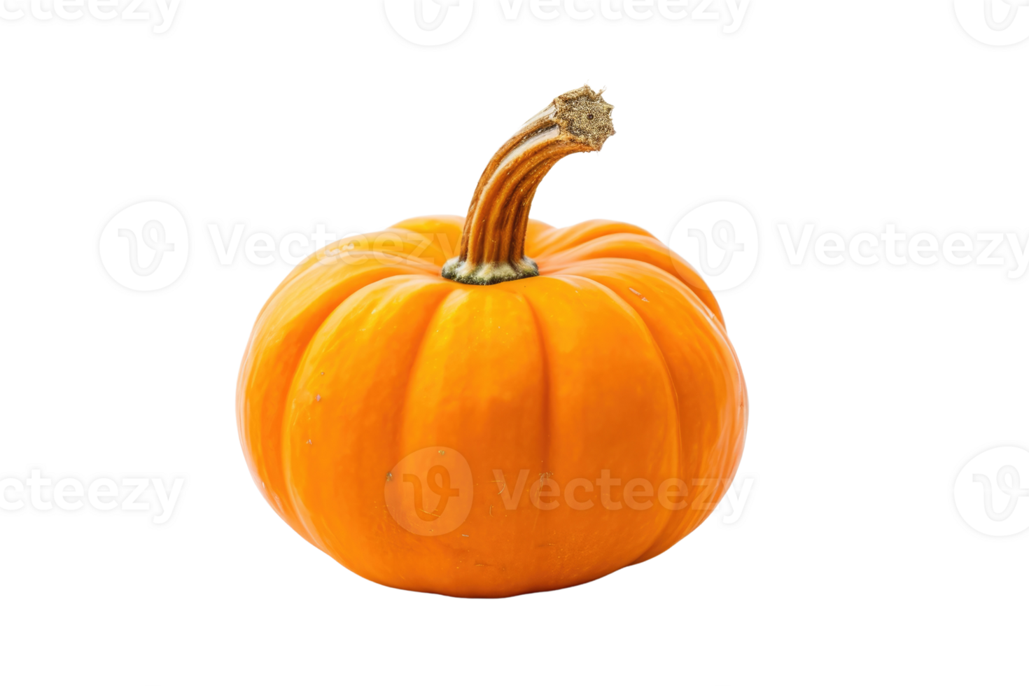 AI generated Pumpkins isolated on transparent background png